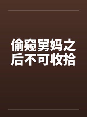 舅妈偷钱被我发现的小说封面