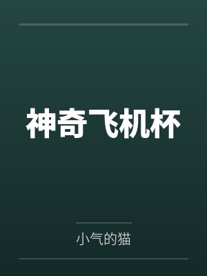 奇妙飞机杯封面