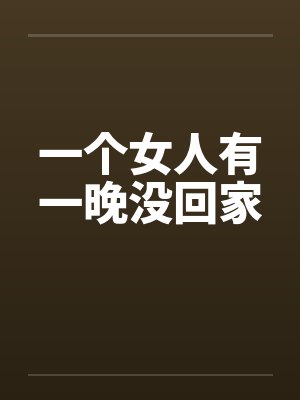 一个女人有一晚没回家怎么办封面