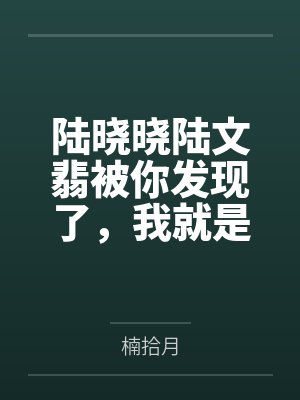 大夏憨婿小说下载TXT封面
