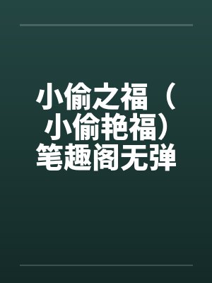 小说小偷封面