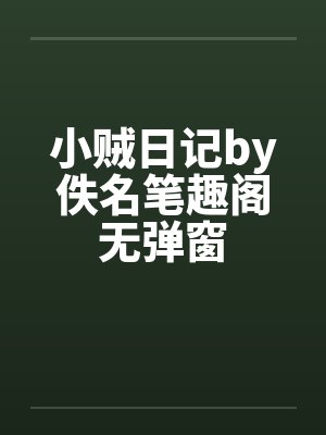 小贼txt封面
