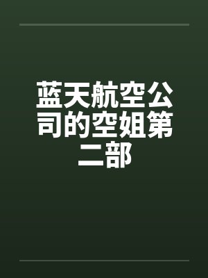 蓝天航空公司的空姐第二部封面