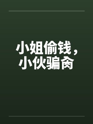 小姐偷钱，小伙骗肏封面