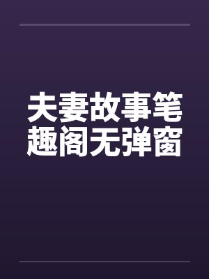夫妻故事笔趣阁无弹窗封面