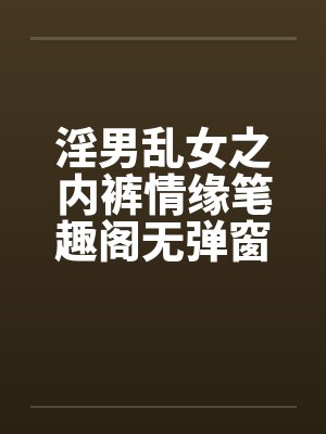 淫男乱女之内裤情缘笔趣阁无弹窗封面