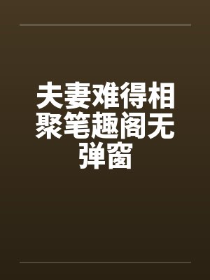 夫妻难得相聚笔趣阁无弹窗封面