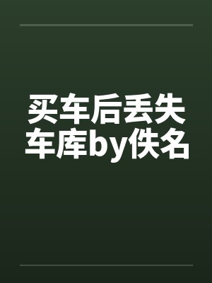 买车后丢失车库by佚名封面