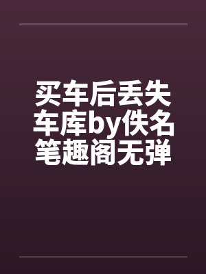 买车后丢失车库by佚名笔趣阁无弹窗封面
