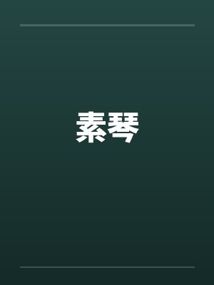 素琴封面