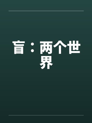 盲：两个世界封面
