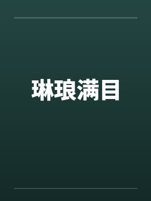 琳琅满目封面