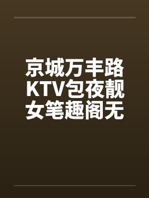 京城万丰路KTV包夜靓女笔趣阁无弹窗封面