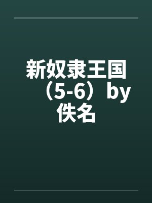 新奴隶王国（5-6）by佚名封面