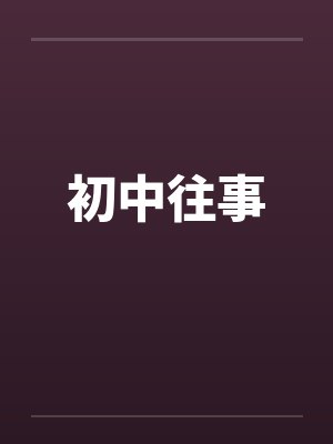 初中往事封面