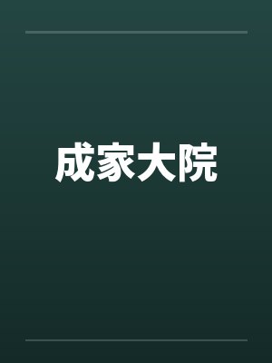 成家大院封面