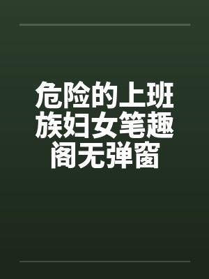 危险的上班族妇女笔趣阁无弹窗封面