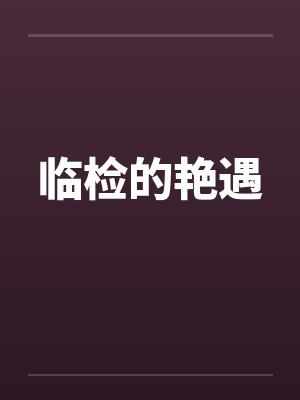 临检的艳遇封面