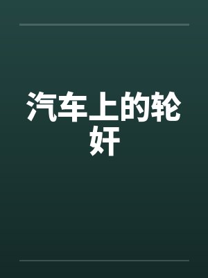 汽车上的轮奸封面