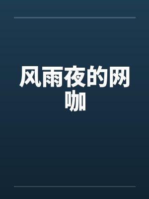 风雨夜的网咖封面