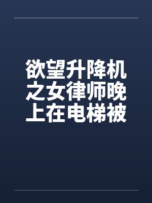 欲望升降机之女律师晚上在电梯被封面