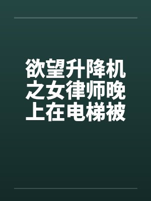 欲望升降机之女律师晚上在电梯被by佚名封面