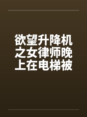 欲望升降机之女律师晚上在电梯被笔趣阁无弹窗封面