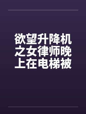 欲望升降机之女律师晚上在电梯被by佚名笔趣阁无弹窗封面
