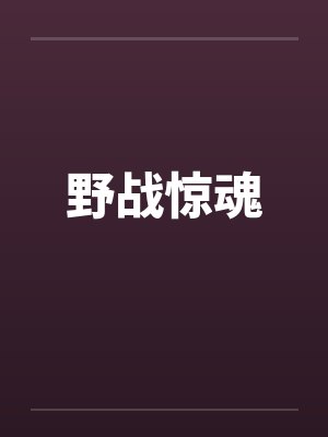 野战惊魂封面