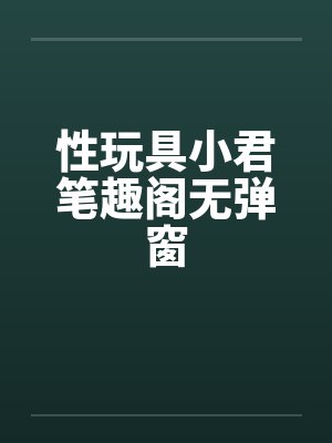 性玩具小君笔趣阁无弹窗封面