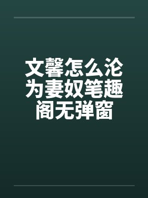 文馨怎么沦为妻奴笔趣阁无弹窗封面