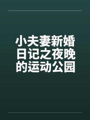 小夫妻新婚日记之夜晚的运动公园笔趣阁无弹窗封面