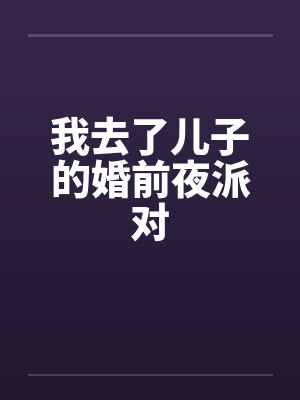 我去了儿子的婚前夜派对封面