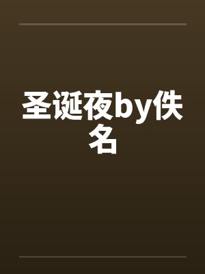 圣诞夜by佚名封面