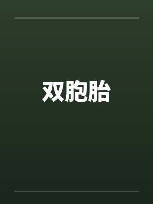 双胞胎封面
