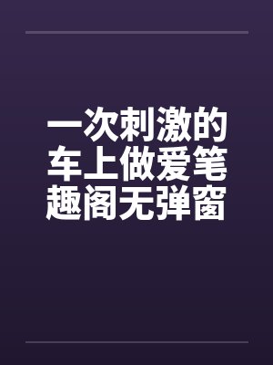一次刺激的车上做爱笔趣阁无弹窗封面
