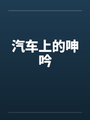 汽车上的呻吟封面