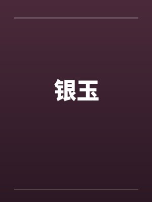 银玉封面