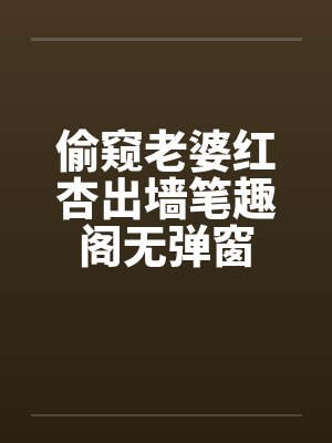 偷窥老婆红杏出墙笔趣阁无弹窗封面
