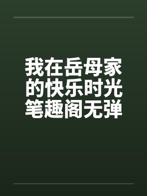我在岳母家的快乐时光笔趣阁无弹窗封面