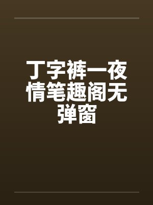 丁字裤一夜情笔趣阁无弹窗封面