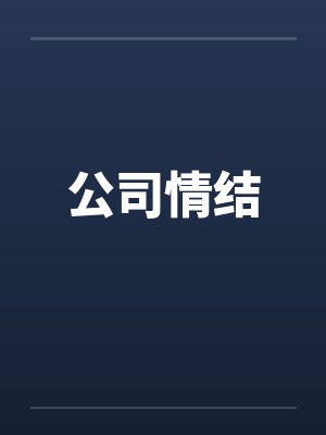 公司情结封面