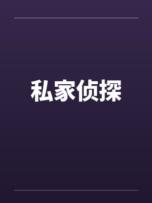 私家侦探封面