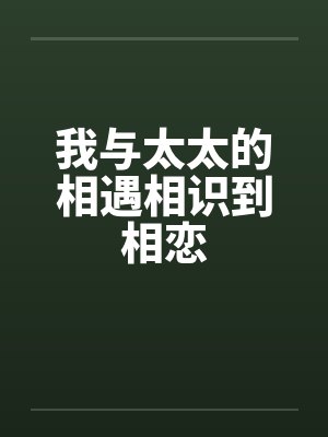 我与太太的相遇相识到相恋封面
