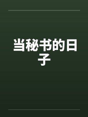 当秘书的日子封面