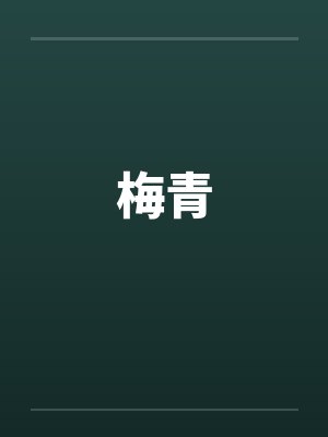 梅青封面