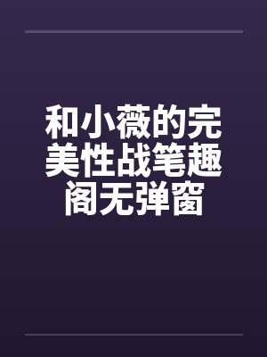 和小薇的完美性战笔趣阁无弹窗封面