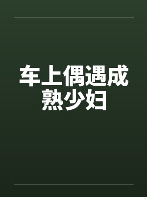 车上偶遇成熟少妇封面