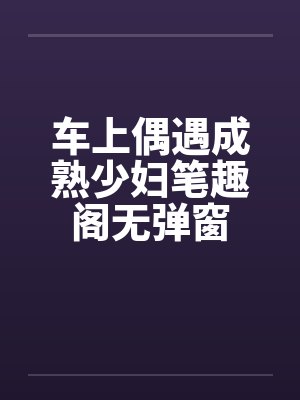 车上偶遇成熟少妇笔趣阁无弹窗封面