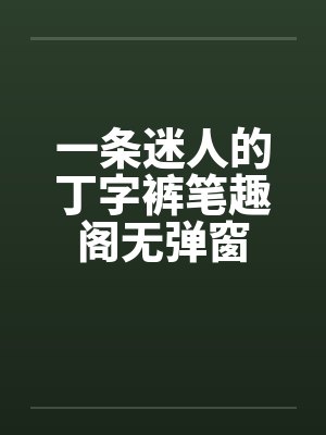 一条迷人的丁字裤笔趣阁无弹窗封面
